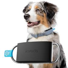 Invoxia Minitailz - GPS- en Gezondheidsmonitor voor Honden